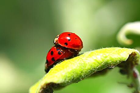 Partnerschaft & Sexualität